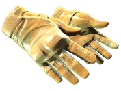 ★ Moto Gloves | Transport image