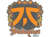 Sticker | fnatic | Budapest 2025 image