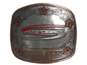 Sticker | Complexity Gaming (Foil) | Austin 2025 image