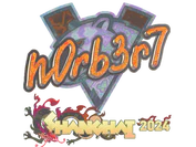 Sticker | n0rb3r7 (Holo) | Shanghai 2024 image
