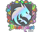 Sticker | Team Spirit (Holo) | Budapest 2025 image