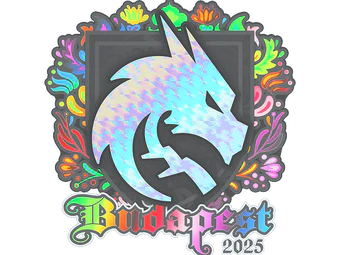 Sticker | Team Spirit (Holo) | Budapest 2025 image
