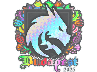 Sticker | Team Spirit (Holo) | Budapest 2025