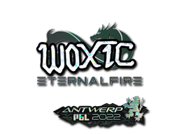 Sticker | woxic (Glitter) | Antwerp 2022 image