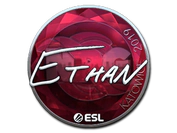 Sticker | Ethan (Foil) | Katowice 2019 image