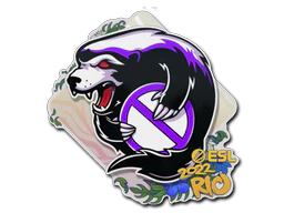 Sticker | Outsiders | Rio 2022 image