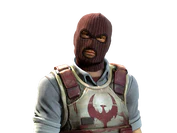 Soldier | Phoenix image