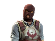 Soldier | Phoenix image