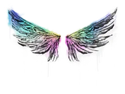 Sealed Graffiti | Wings image