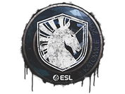 Sealed Graffiti | Team Liquid | Katowice 2019 image