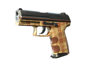 P2000 | Coach Class image