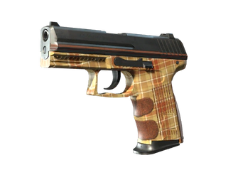 P2000 | Coach Class image