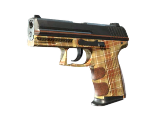 P2000 | Coach Class image