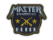 Patch | Metal Master Guardian Elite image