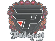 Sticker | paiN Gaming | Budapest 2025 image