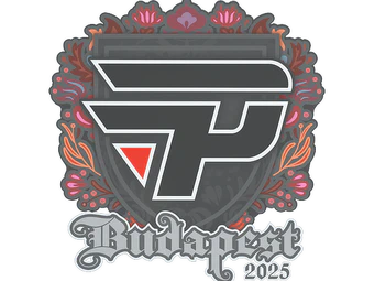 Sticker | paiN Gaming | Budapest 2025 image