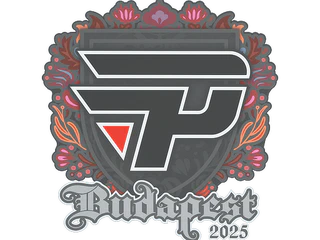 Sticker | paiN Gaming | Budapest 2025