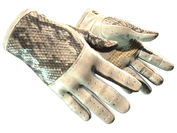 ★ Driver Gloves | King Snake image