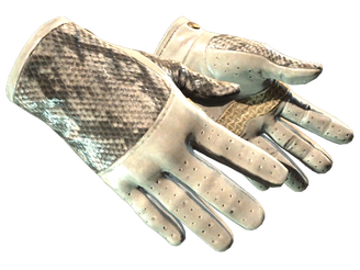 ★ Driver Gloves | King Snake image