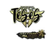 Sticker | TeSeS (Gold) | Antwerp 2022 image