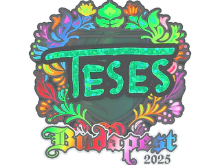 Sticker | TeSeS (Holo) | Budapest 2025