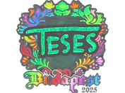 Sticker | TeSeS (Holo) | Budapest 2025 image