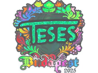 Sticker | TeSeS (Holo) | Budapest 2025 image