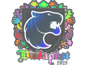 Sticker | FURIA (Holo) | Budapest 2025 image