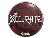 Sticker | xccurate | Katowice 2019 image