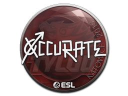 Sticker | xccurate | Katowice 2019 image
