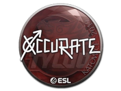 Sticker | xccurate | Katowice 2019 image