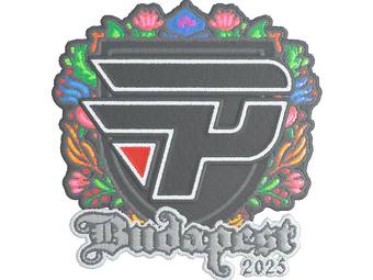 Sticker | paiN Gaming (Embroidered) | Budapest 2025 image