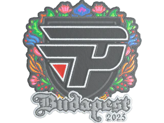 Sticker | paiN Gaming (Embroidered) | Budapest 2025