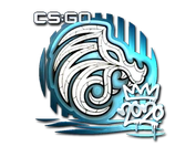 Sticker | North (Foil) | 2020 RMR image