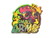 Sticker | Small Arms (Holo) image