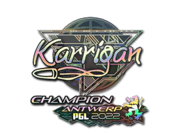 Sticker | karrigan (Holo, Champion) | Antwerp 2022 image