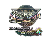 Sticker | karrigan (Holo, Champion) | Antwerp 2022 image