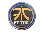 Sticker | Fnatic (Holo) | Cologne 2014 image
