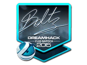 Sticker | boltz (Foil) | Cluj-Napoca 2015 image