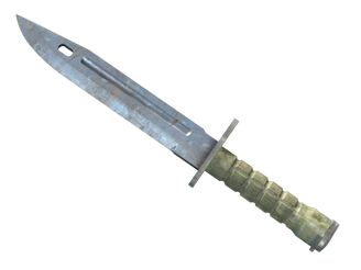 ★ Bayonet | Rust Coat image