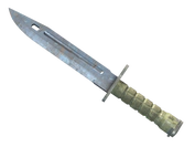 ★ Bayonet | Rust Coat image