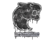 Sealed Graffiti | FURIA | Copenhagen 2024 image