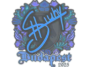 Sticker | siuhy | Budapest 2025 image