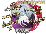 Shanghai 2024 Champions Autograph Capsule