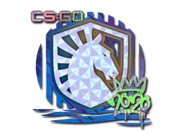 Sticker | Liquid (Holo) | 2020 RMR image