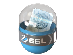 EMS Katowice 2014 Challengers image