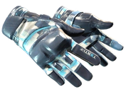 ★ Moto Gloves | Cool Mint image