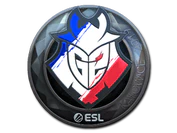 Sticker | G2 Esports (Foil) | Katowice 2019 image