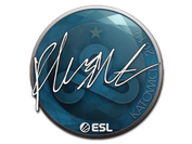 Sticker | flusha | Katowice 2019 image