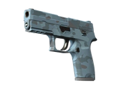 P250 | Forest Night image